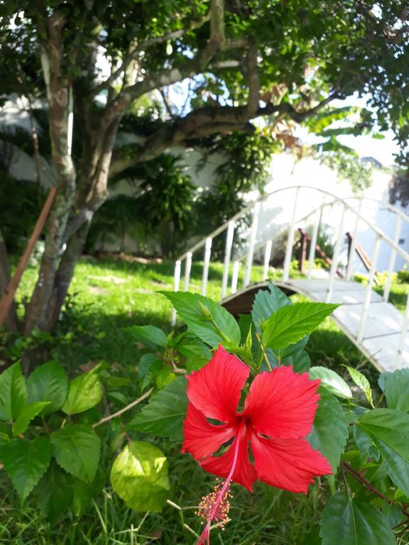 Сasa de vacaciones Secret Recreio Río de Janeiro