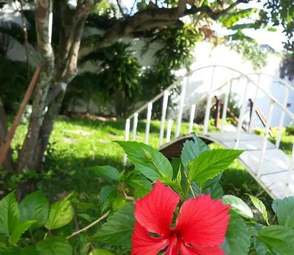 Secret Recreio